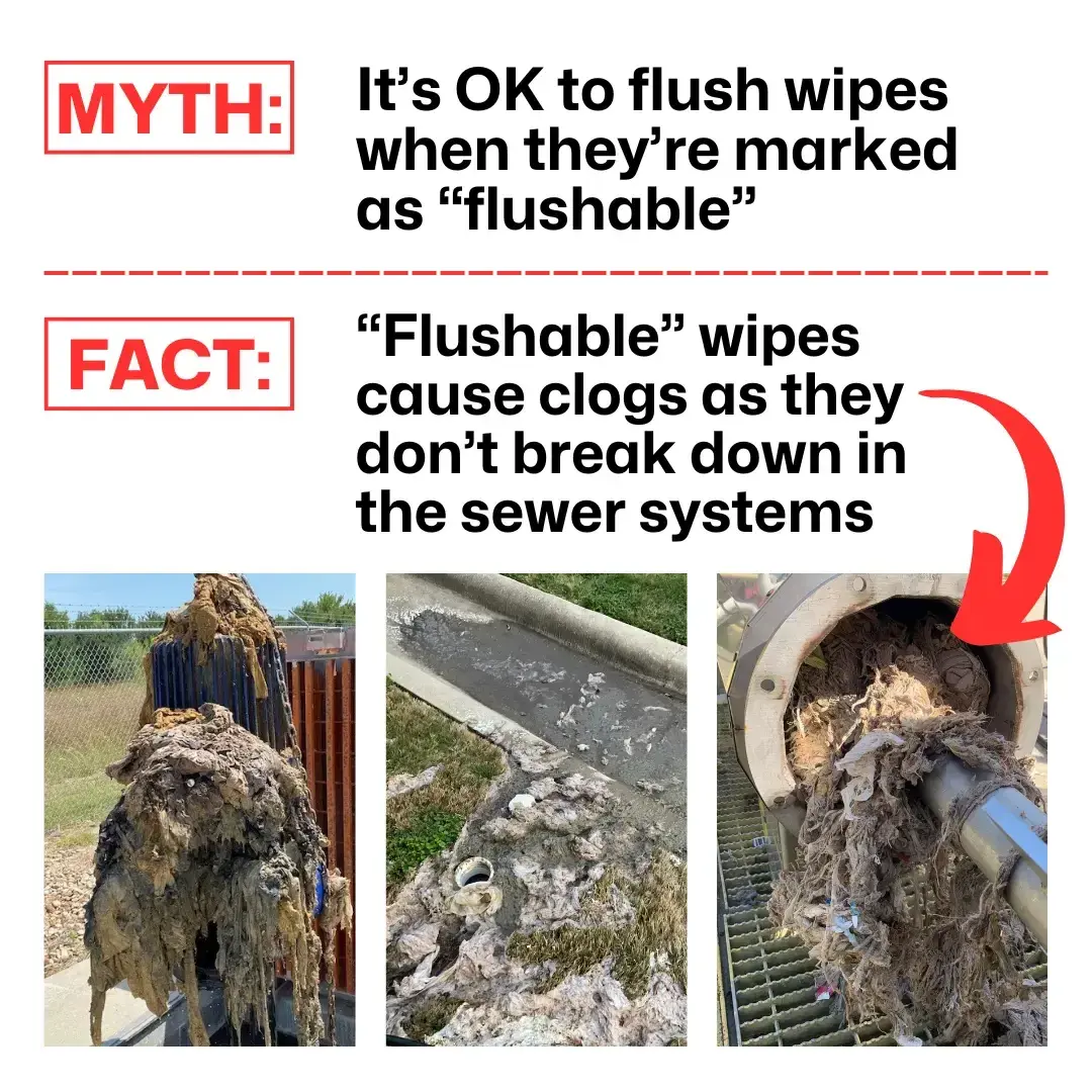 Flushable wipes